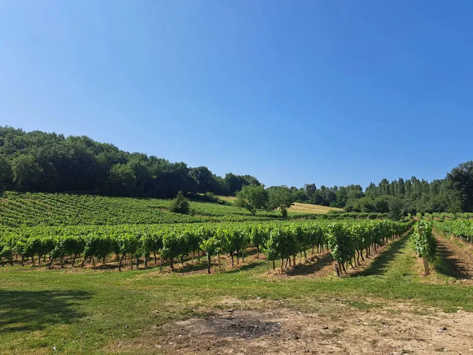 Masia a Pujols, Lot-et-Garonne - foto 2