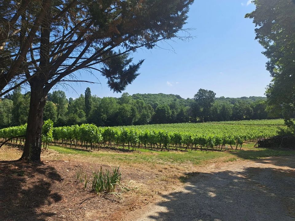 Masia a Pujols, Lot-et-Garonne - foto 4