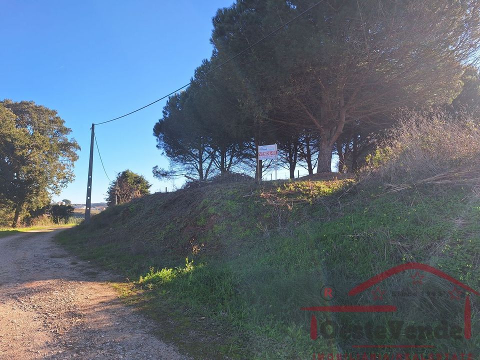 Helårsgrund i Cadaval, Lisbon - foto 1