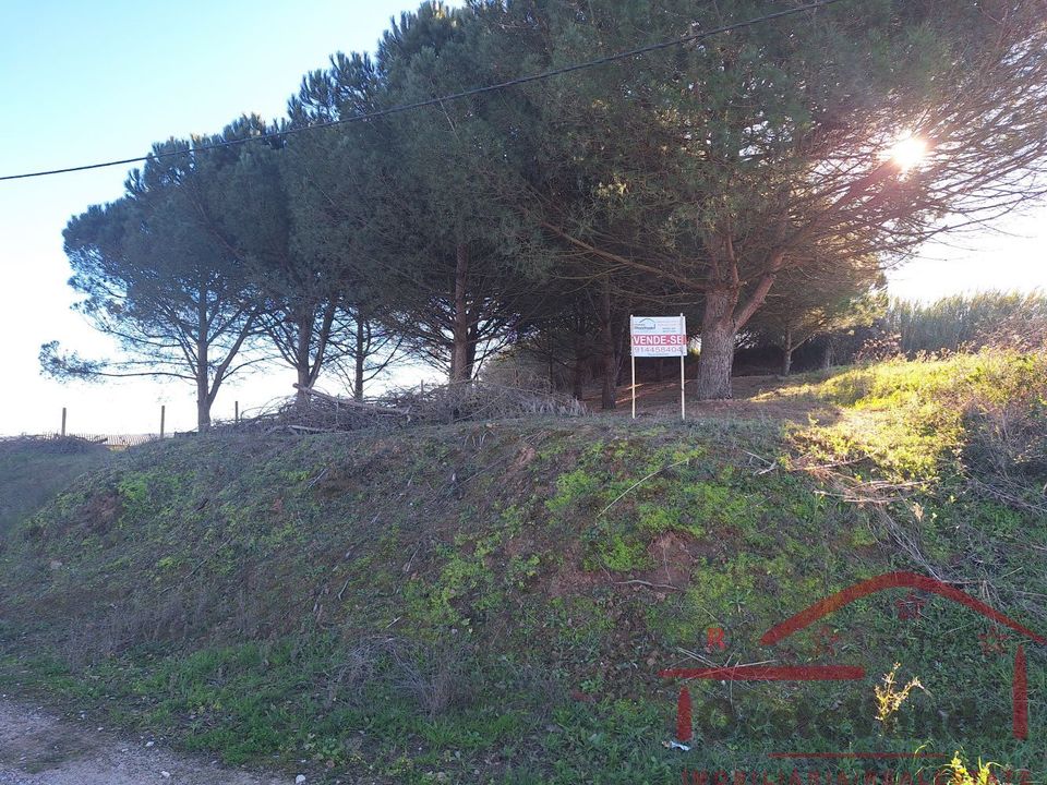 Helårsgrund i Cadaval, Lisbon - foto 2