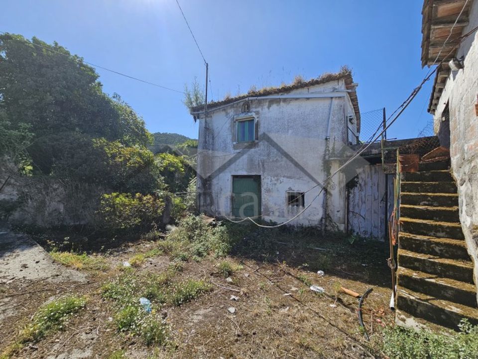 Farm i Areosa, Viana do Castelo - foto 1