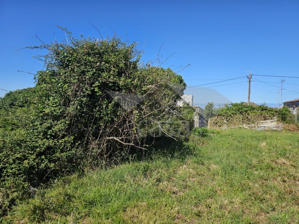 Farm i Areosa, Viana do Castelo - foto 5