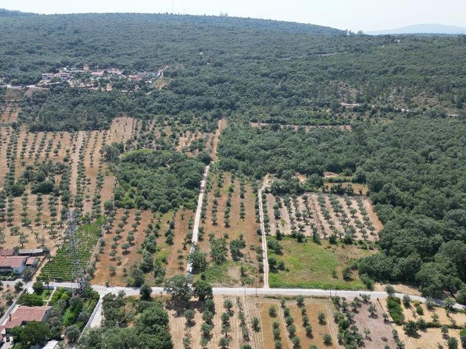 Helårsgrund i Ansiao, Leiria - foto 2