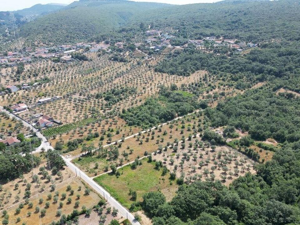 Helårsgrund i Ansiao, Leiria - foto 4