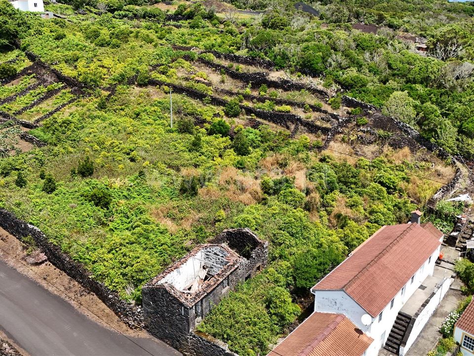 Helårsgrund i Lajes do Pico, Pico - foto 2