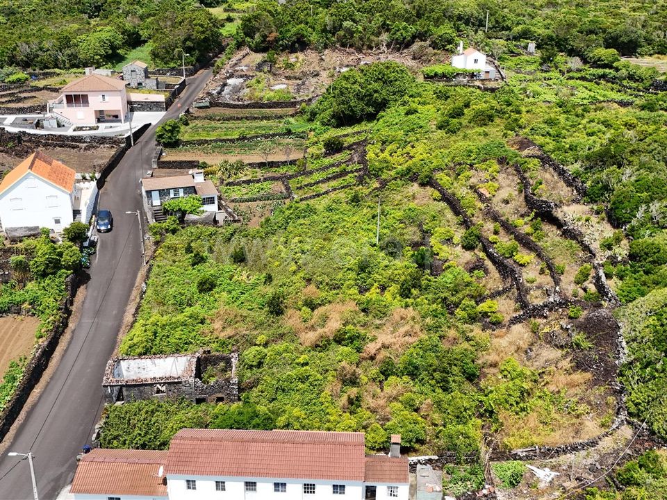 Helårsgrund i Lajes do Pico, Pico - foto 5
