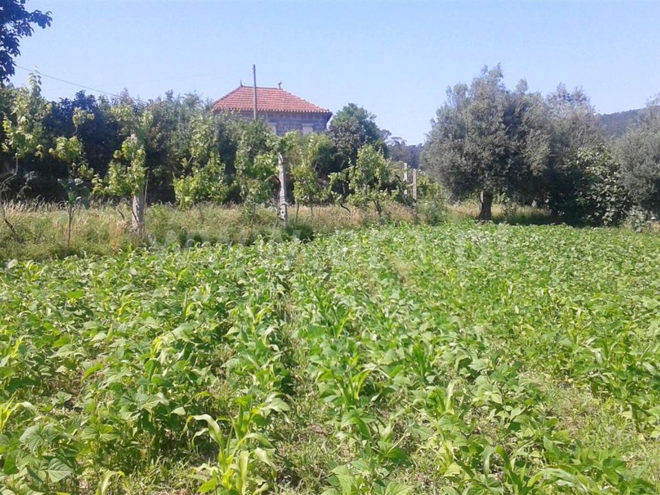 Helårsgrund i Barcelos, Braga - foto 2