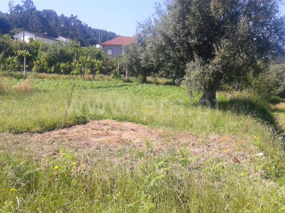 Helårsgrund i Barcelos, Braga - foto 4