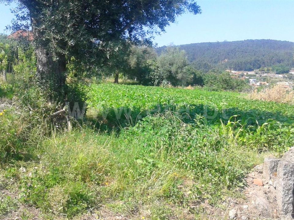 Helårsgrund i Barcelos, Braga - foto 5