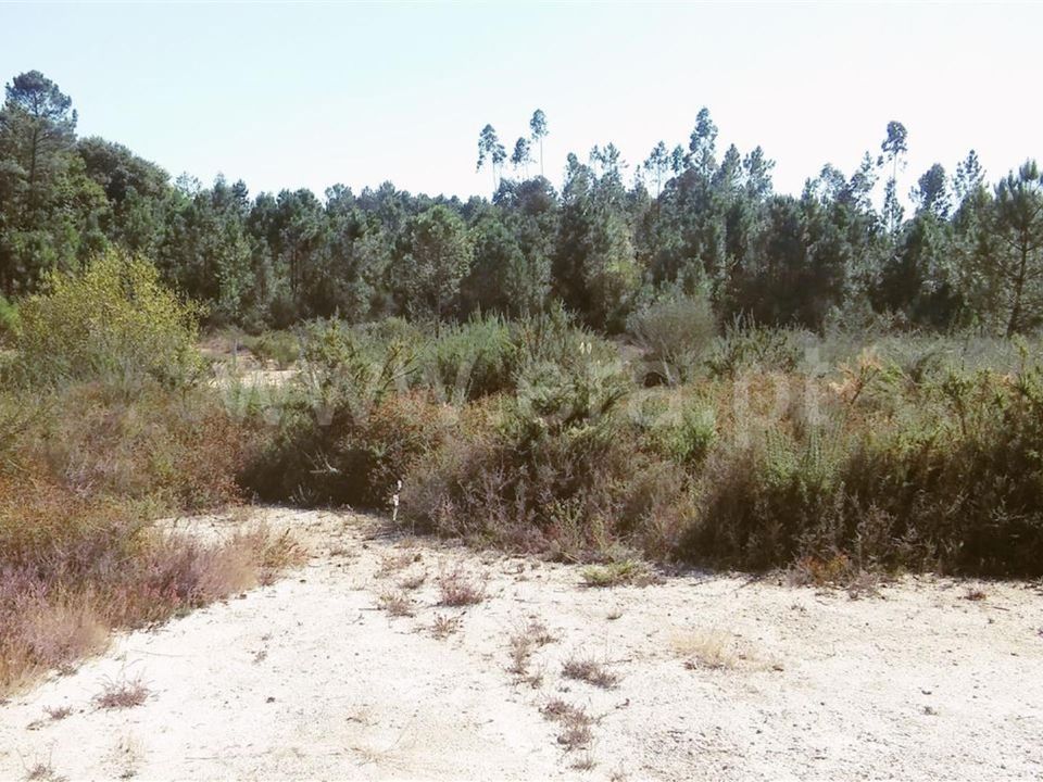 Helårsgrund i Barcelos, Braga - foto 3