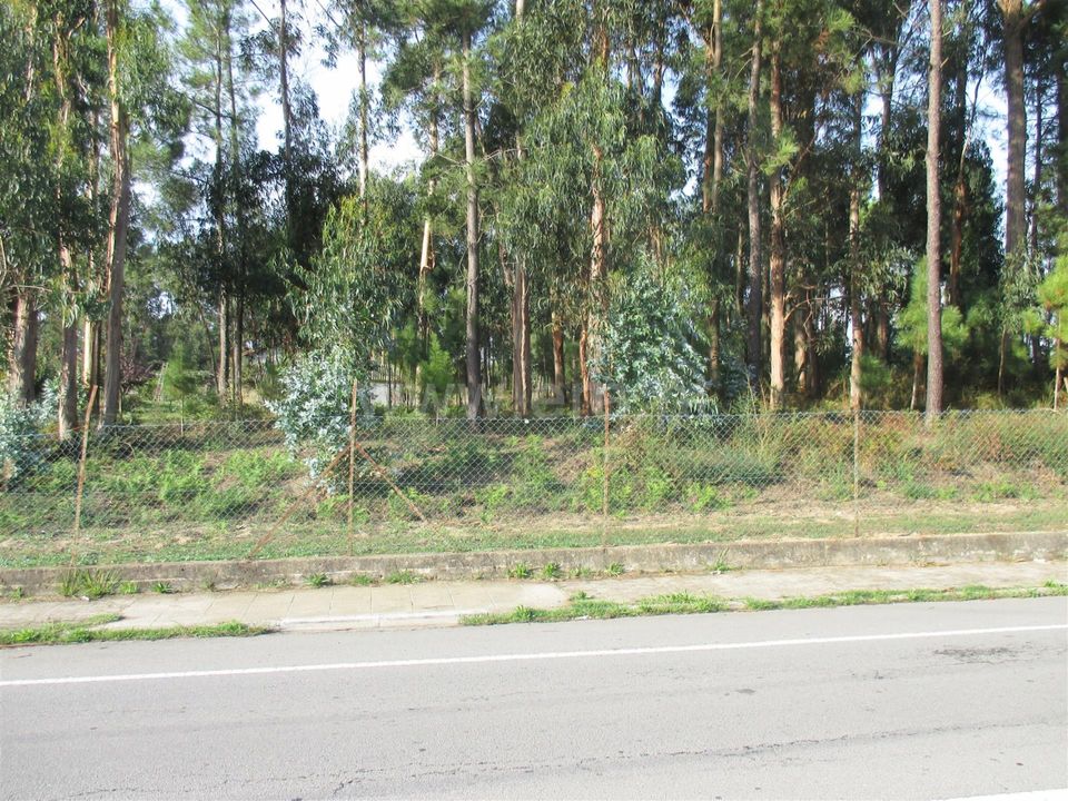 Helårsgrund i Barcelos, Braga - foto 5