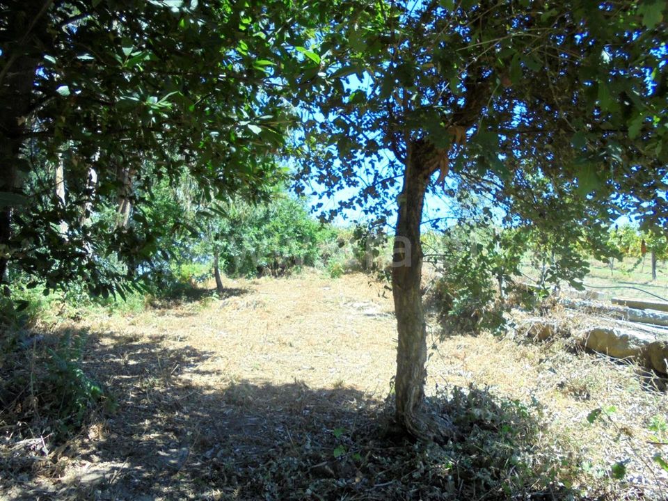 Helårsgrund i Barcelos, Braga - foto 2