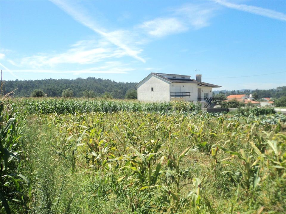 Helårsgrund i Barcelos, Braga - foto 3