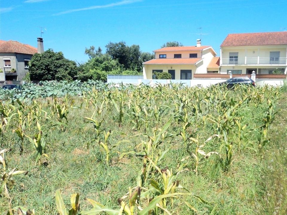 Helårsgrund i Barcelos, Braga - foto 4