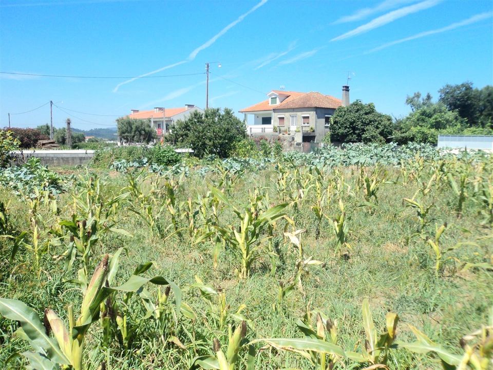 Helårsgrund i Barcelos, Braga - foto 5