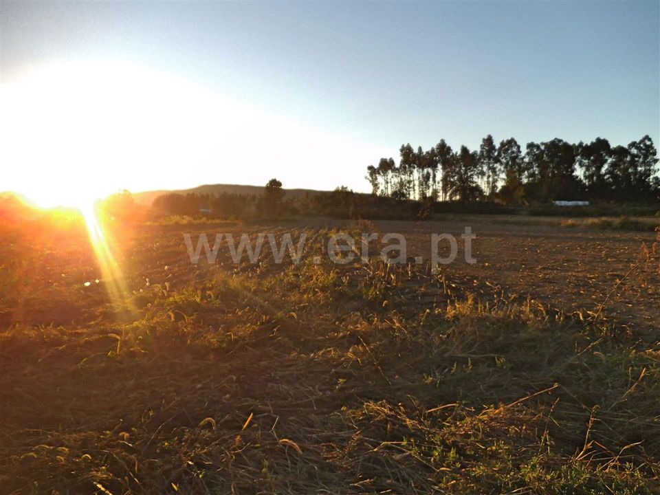 Helårsgrund i Barcelos, Braga - foto 3