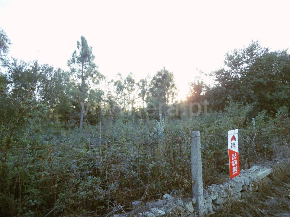 Helårsgrund i Barcelos, Braga - foto 1