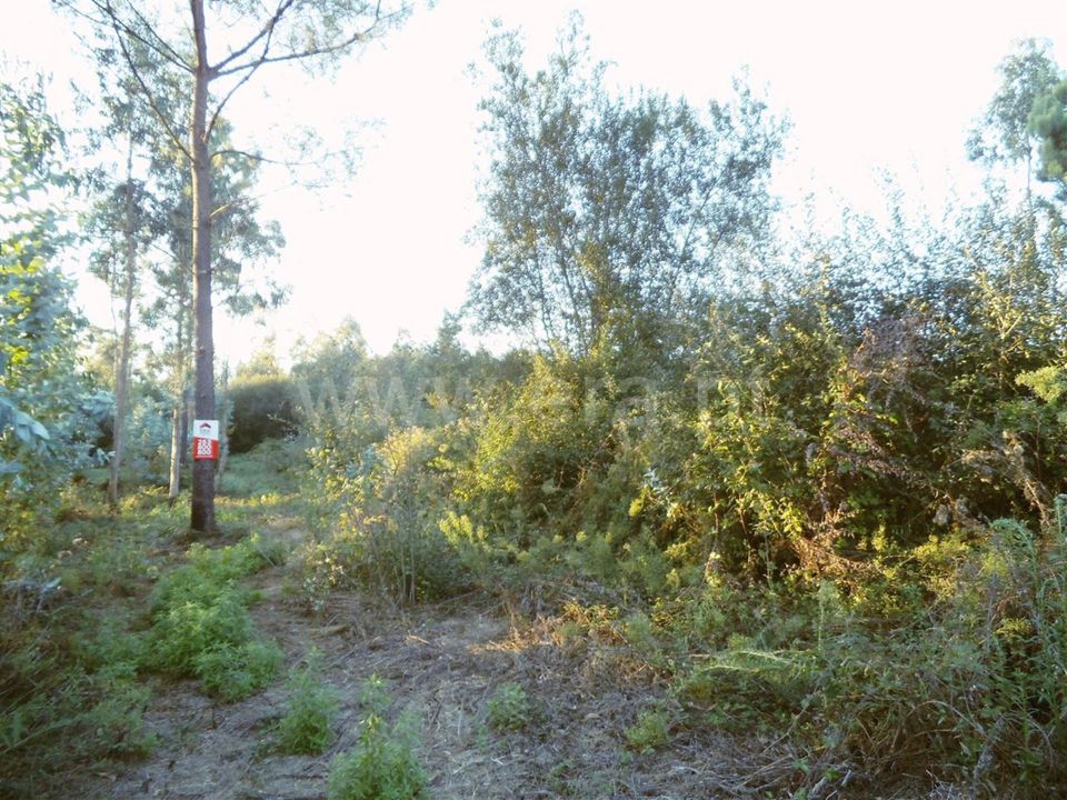 Helårsgrund i Barcelos, Braga - foto 4