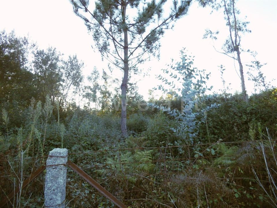 Helårsgrund i Barcelos, Braga - foto 5