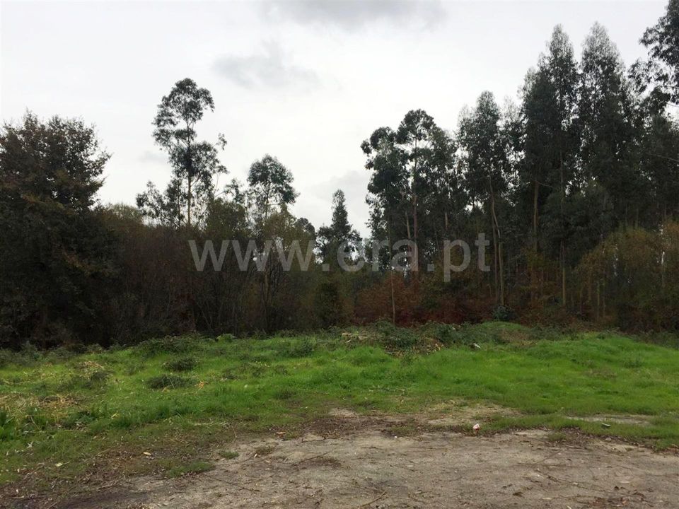 Helårsgrund i Barcelos, Braga - foto 4