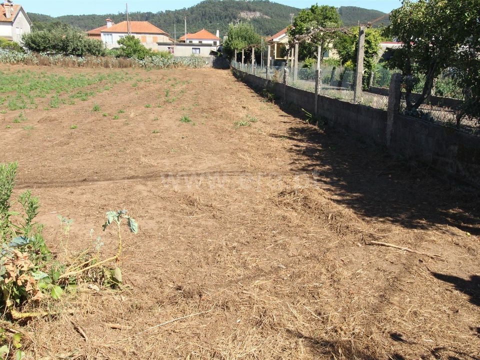 Helårsgrund i Barcelos, Braga - foto 2