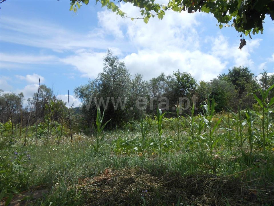 Helårsgrund i Barcelos, Braga - foto 3