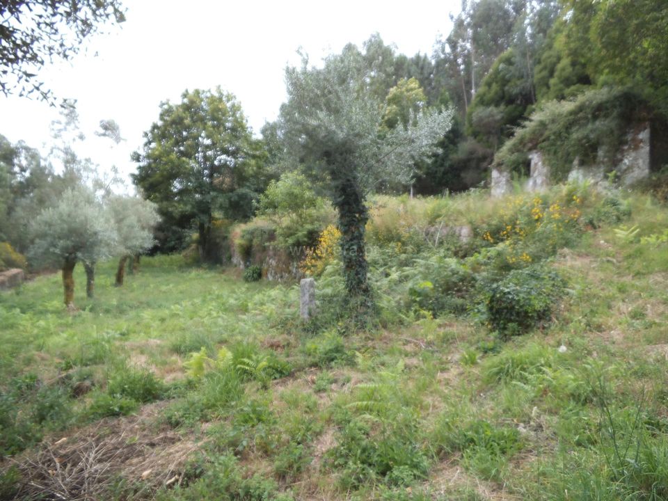 Byhus i Barcelos, Braga - foto 1