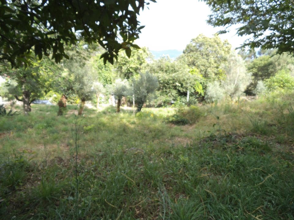 Byhus i Barcelos, Braga - foto 3