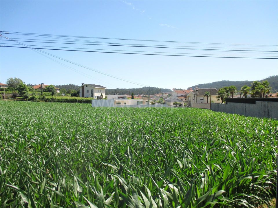 Helårsgrund i Barcelos, Braga - foto 4