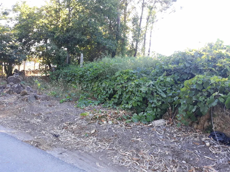 Helårsgrund i Barcelos, Braga - foto 3