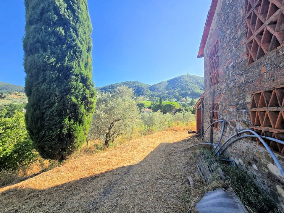 Herregård i Quarrata, Pistoia - bilde 5