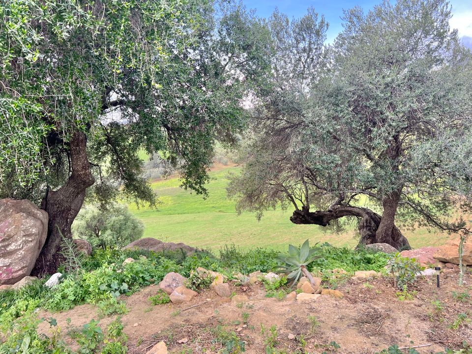 Cortijo i Casarabonela, Malaga - foto 2