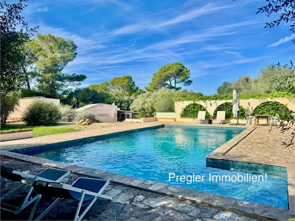 Herregård i Can Picafort, Mallorca - bilde 5