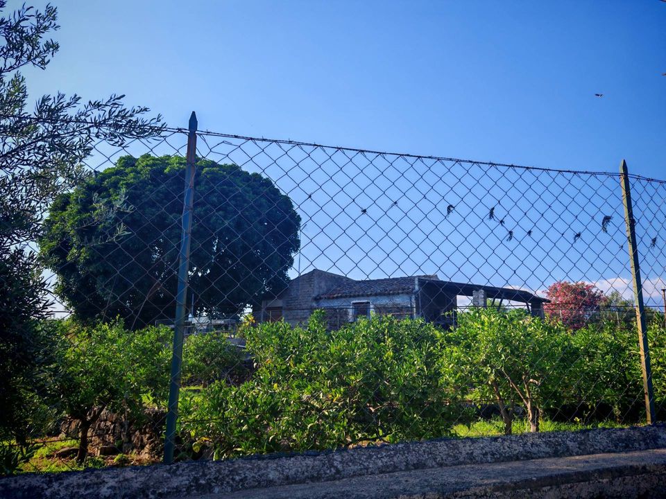 Tomt i Paterno, Catania - bilde 3