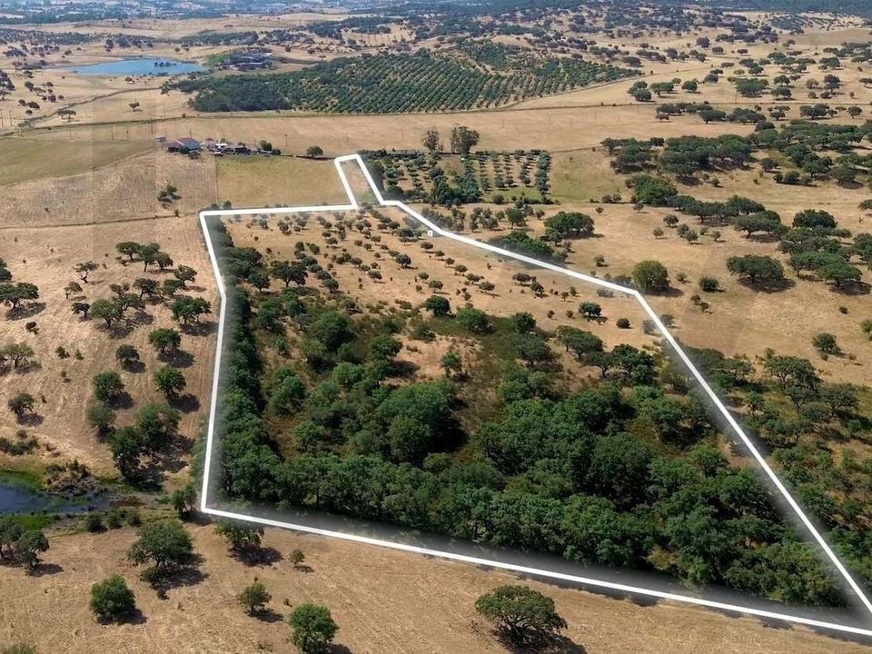Helårsgrund i Almodovar, Beja - foto 2