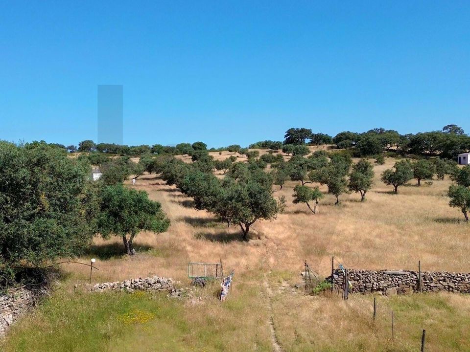 Helårsgrund i Almodovar, Beja - foto 3
