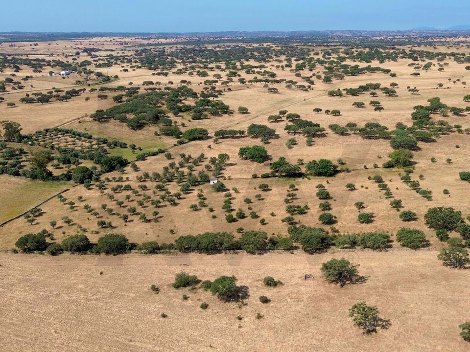 Helårsgrund i Almodovar, Beja - foto 4