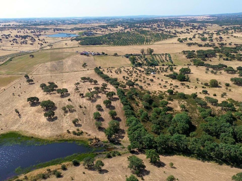 Helårsgrund i Almodovar, Beja - foto 1