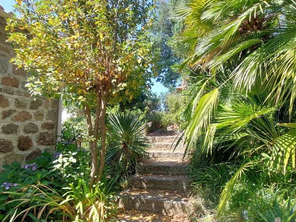 Villa i Bastelicaccia, Corse-du-Sud - foto 5