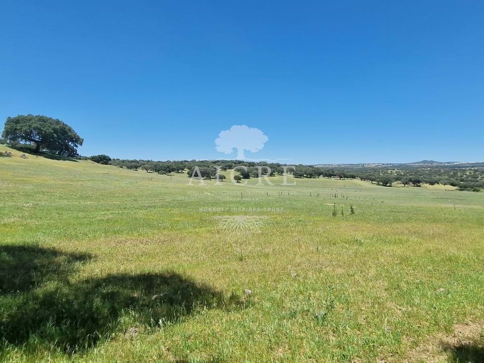 Farm i Elvas, Portalegre - foto 1