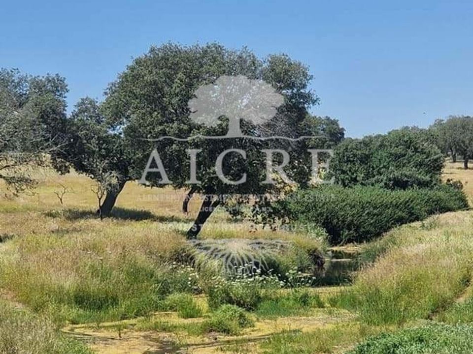 Farm i Elvas, Portalegre - foto 2