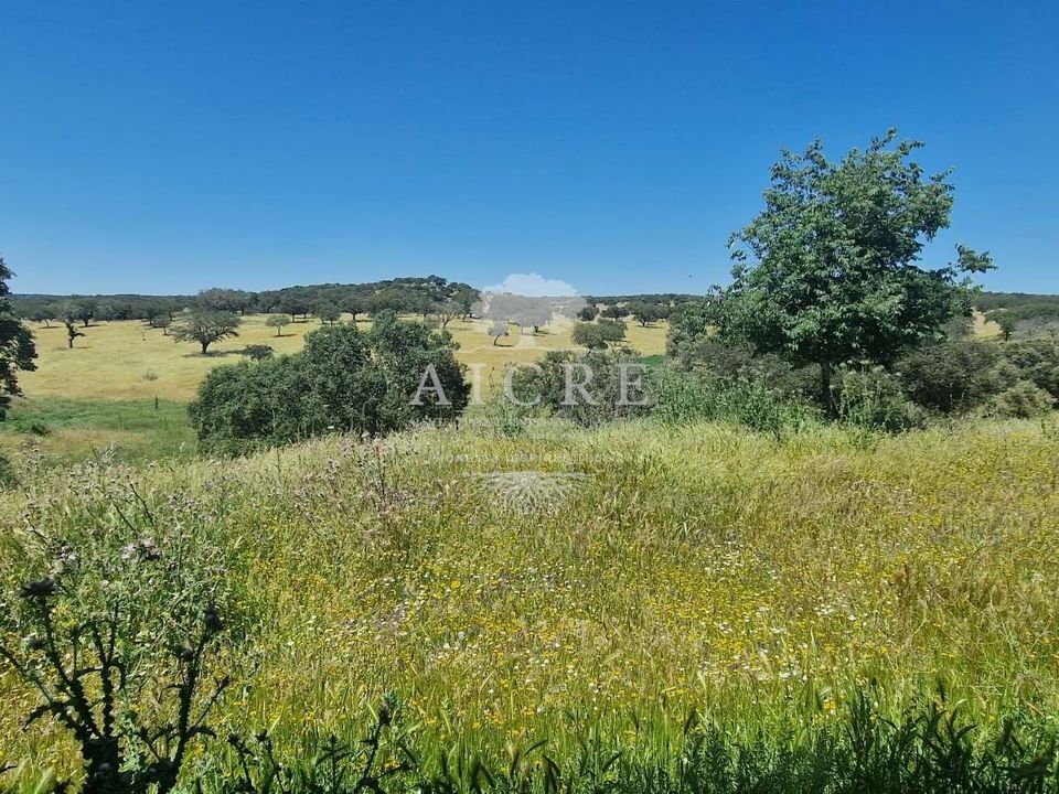 Farm i Elvas, Portalegre - foto 4