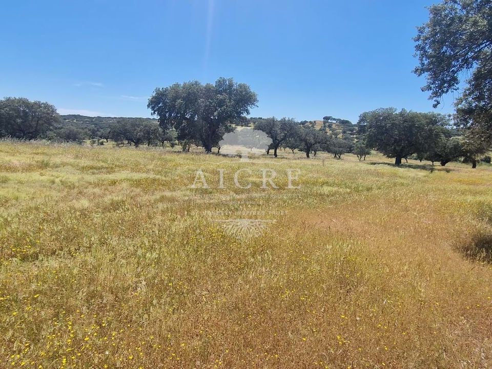 Farm i Elvas, Portalegre - foto 5