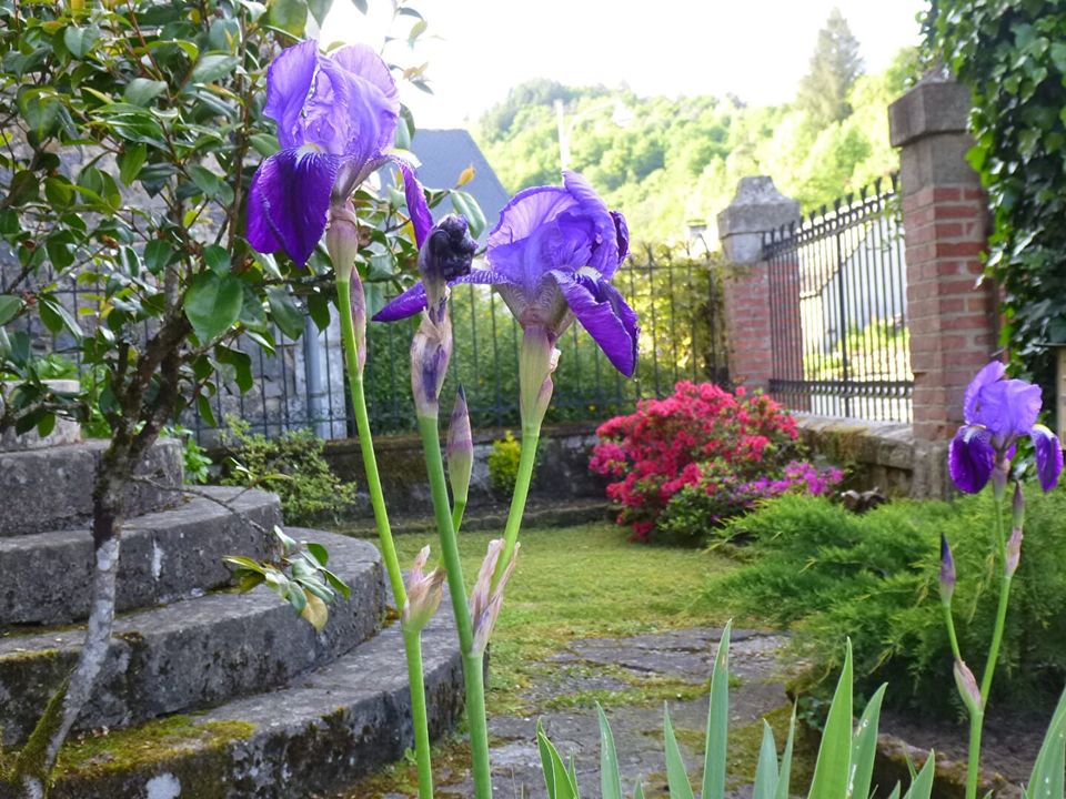 Villa i Saint-Chamant, Correze - foto 4