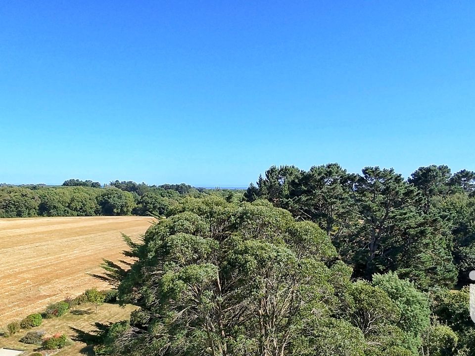 Helårsgrund i Saint-Gildas-de-Rhuys, Morbihan - foto 5