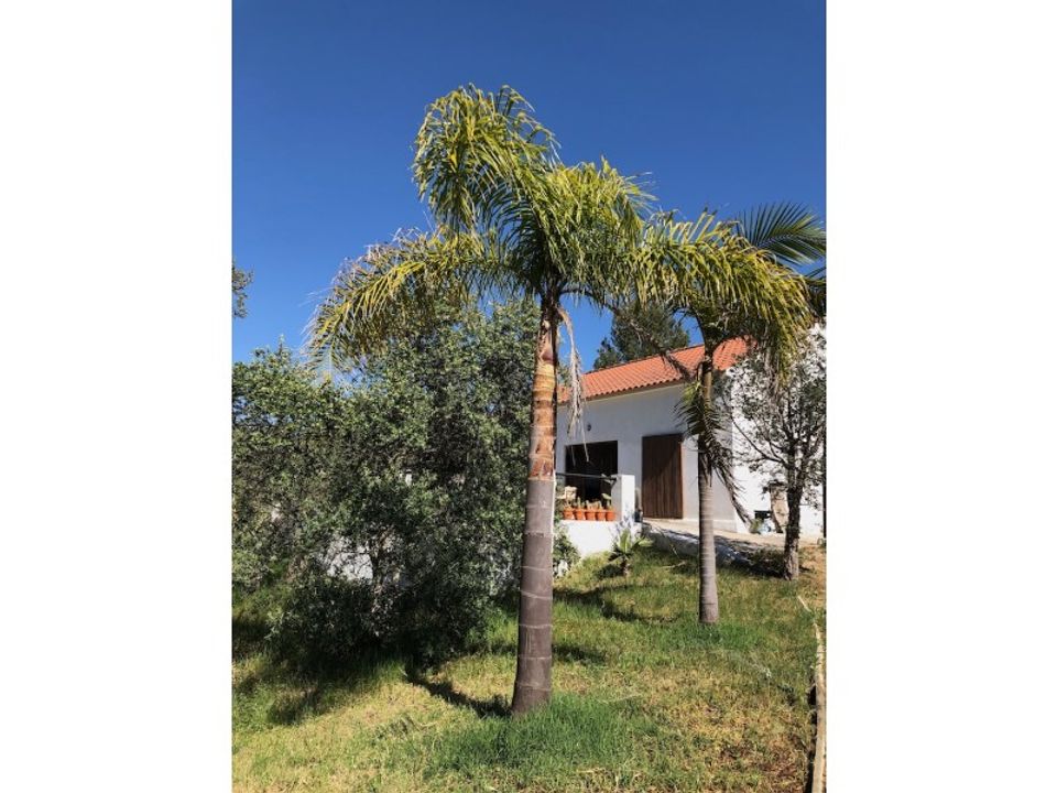 Granja a Setubal, Setubal - foto 1