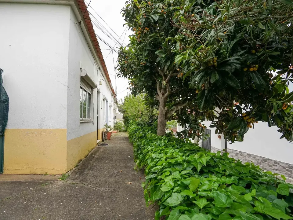 Villa i Alcanena, Santarem - bilde 3