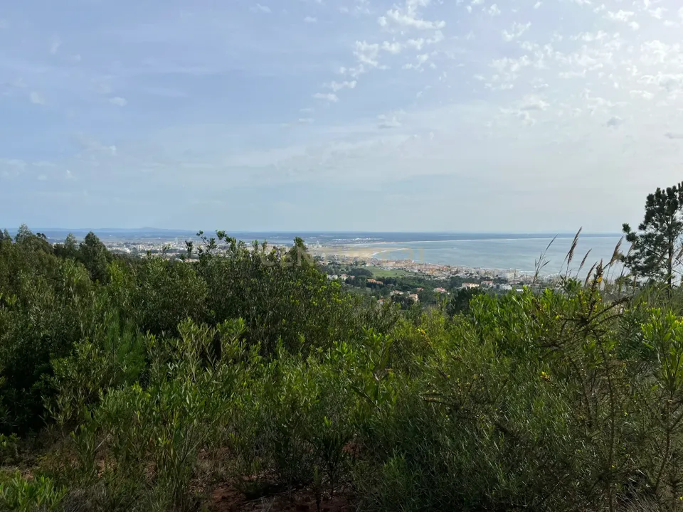 Helårsgrund i Figueira da Foz, Coimbra - foto 1