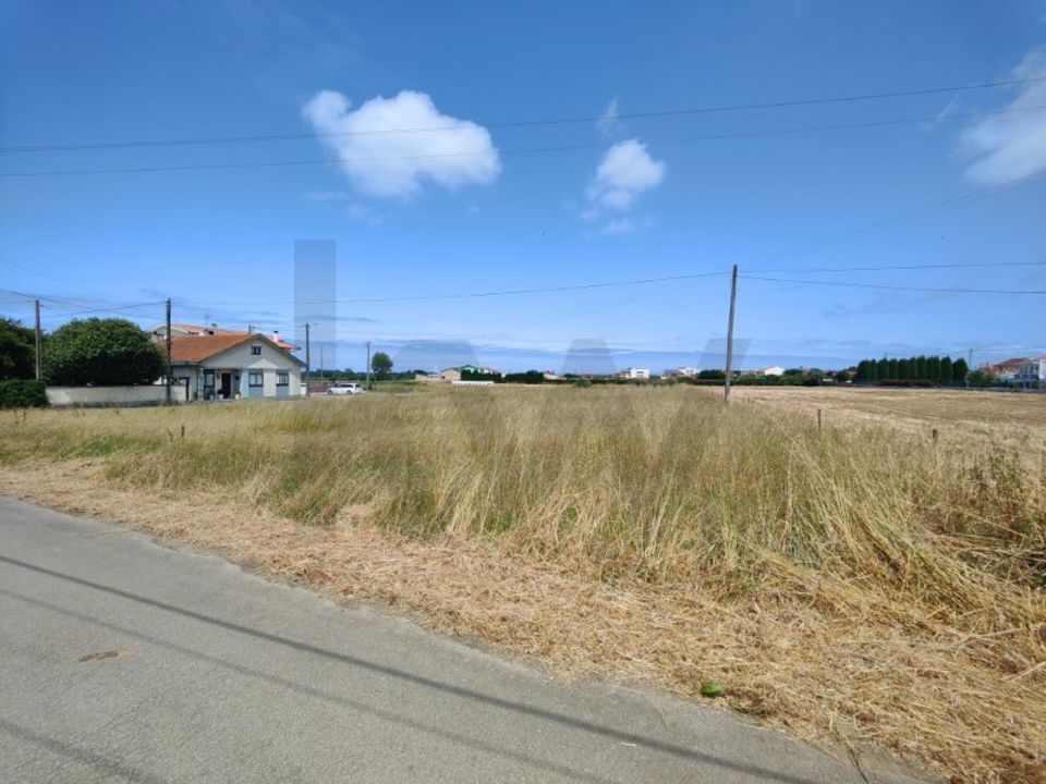 Tomt i Ilhavo, Aveiro - bilde 2