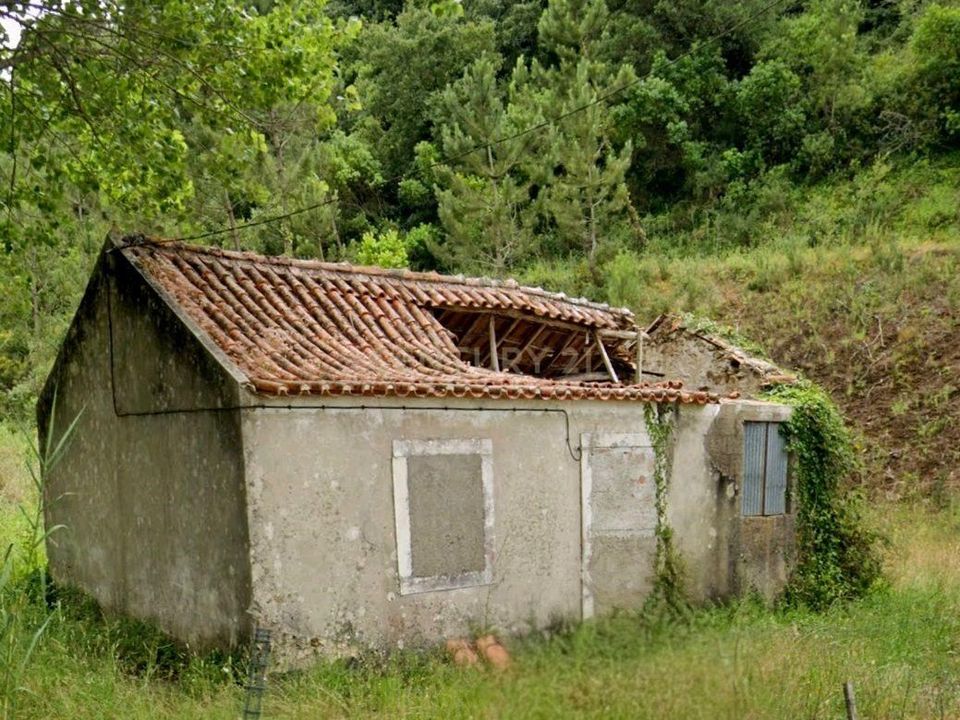 Villa i Alcobaca, Leiria - foto 1